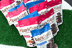 LADY 12 CELEBRITY FASHION SHOW